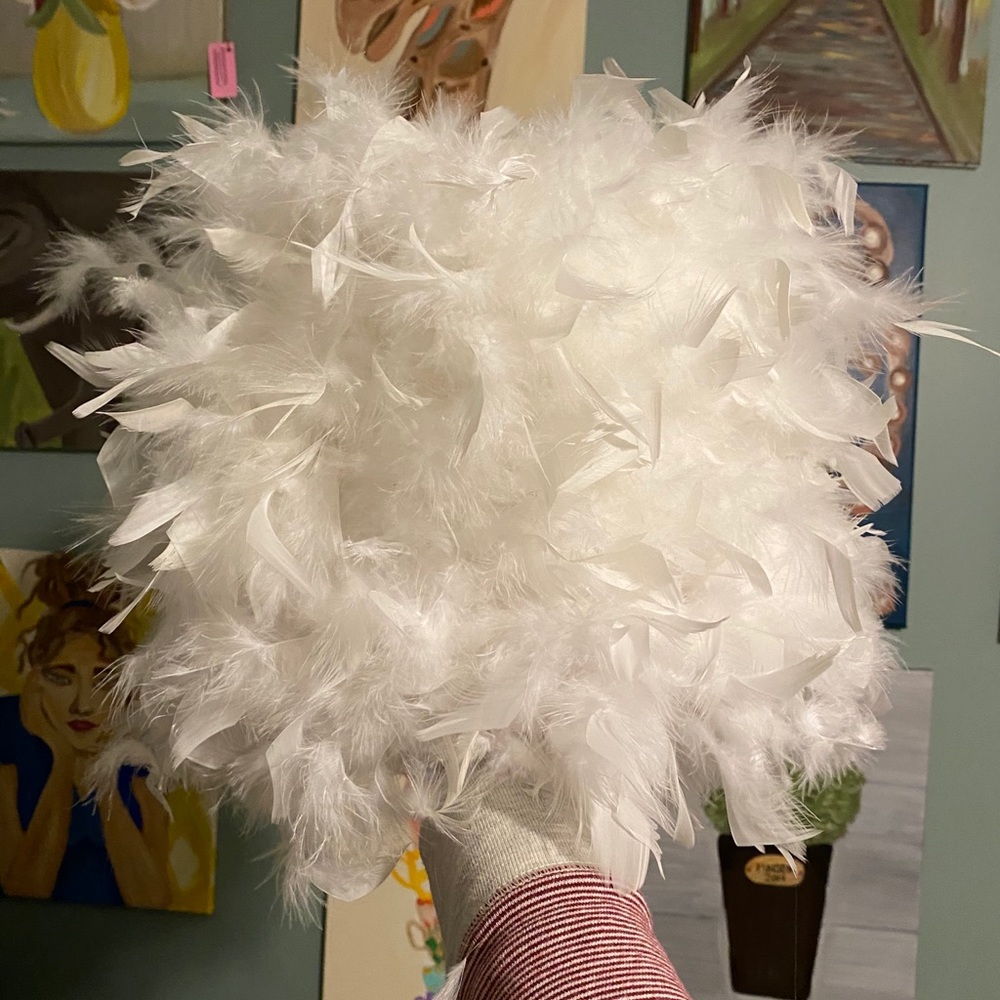 Feather Lampshade 🌸